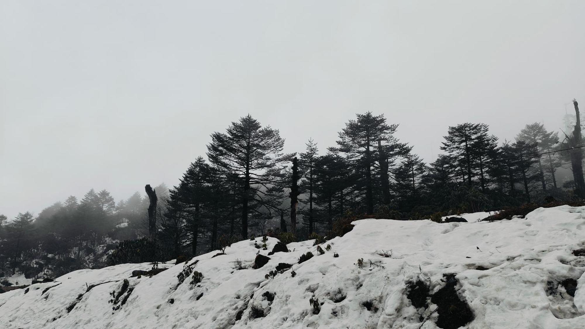 Mount Bayul Shangri-La Resort Lachung Exterior photo